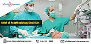 Chief of Anesthesiology Email List | Chief Of Anesthesiology Mailing List | Anesthesiology Email List