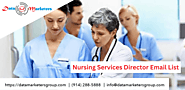 Nursing Services Director Email List | Data Marketers Group