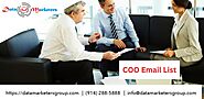 COO Mailing List | COO Email List | COO Email Database