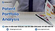 Patent Portfolio Analysis - Signicent LLP