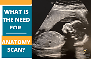 Why Is An Anatomy Scan Needed?