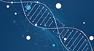 Depixus: Innovating Medical Imaging for Precise Diagnostics | About Us