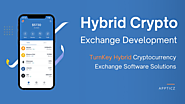 Hybrid Cryptocurrency Exchange Development | Hybrid Crypto Exchange Script