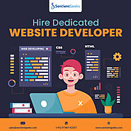 Hire dedicated website developer