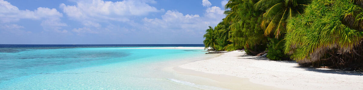 Headline for 6 Reasons a Maldives Trip is Worth Breaking the Bank- Get a taste of paradise!