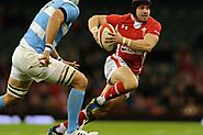 Rugby 2015 World Cup Live Streaming To Watch Here