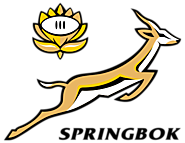 South Africa Rugby World Cup Schedule Matches Timings 2015 : Springboks Schedule for RWC 2015