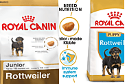 Best Dog Food for a Rottweiler Puppy