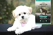 American Journeys’ Dog Food a Good Choice for Your Dog