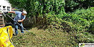 Garden clearance Sutton: How much does garden waste removal cost?
