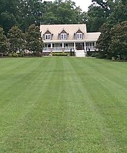 Get a Lush Lawn with Professional Lawn Care in Alpharetta