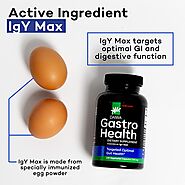 Daiwa Gastro Health - Active Ingredient lgY Max