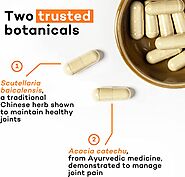 Daiwa Joint Health - Two Trusted Botanicals