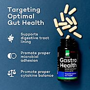 Gestro Health Supplement