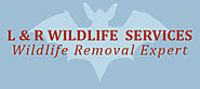 Blog - Wildlife Removal Experts