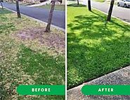 Efficient Lawn Maintenance Services in North Vancouver