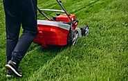 Achieve Impeccable Yard Maintenance in West Vancouver