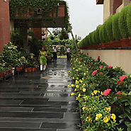 Office Landscaping Ideas to Create a Welcoming Work Environment