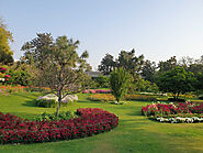 Choosing a Landscaping Company: What Aspects Should You Consider?