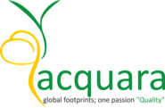 Outsourced Finance and Accounting Consultant Company India | Acquara