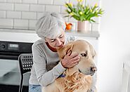 Best Senior Dog Care Tips: How to Support Your Aging Pup"