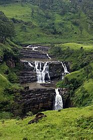 Walk Around Tea Estates and See St. Clair's Falls