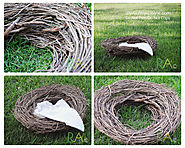 Renae Alane Photo: Do It Yourself: Photography Prop Nest