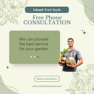Are You Looking for Tree Removal Service in Maui?
