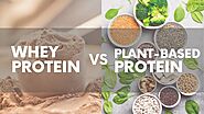 Plant Based Protein Vs Whey Protein: Which One Is Better?