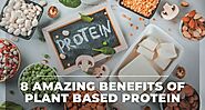 Why Plant Based Protein Powder Is Better Than Any Other Protein Source