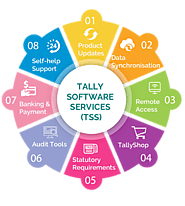 Tally TSS- Monetta Software(Certified Partner for Tally Solutions)