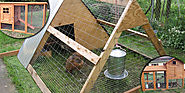 Things to consider when looking for customized chicken coops