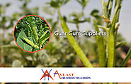 Guar Gum Market Trend in the Coming Months
