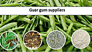 Is uncertain future of guar gum is a matter of concern for suppliers?