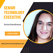 What Does a Senior Technology Executive do?
