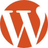 WordPress Development Services in Bannu Pakistan | Morina Tech