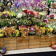 How to Find the Perfect Flower Shop Near You