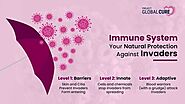PROBLEMS OF WEAKENED IMMUNITY: ARE WE TAKING CARE OF OUR IMMUNE SYSTEM?