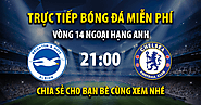 Tường thuật trực tiếp Brighton vs Chelsea, lúc 21:00, ngày 29/10/2022