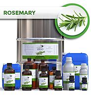 Order Now! Wholesale Rosemary Spain Essential Oil | Essential Natural Oils