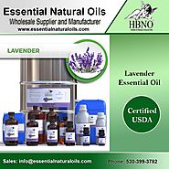 Order Now! Lavender 40/42 Essential Oil from Manufacturers and Wholesale Supplier