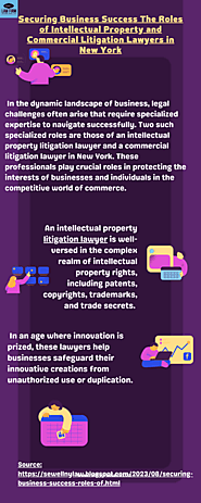 Securing Business Success: The Roles of Intellectual Property and Commercial Litigation Lawyers in New York