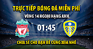 Trực tiếp Liverpool vs Leeds United 01:45, ngày 30/10/2022 - Mitom10.com