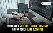 What can a Web Development Company do for your Online Business?