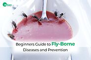 Fly Borne Diseases