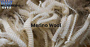 The Incredible Scientific Feature of Merino Wool