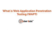 Cyber Octet - What is Web Application Penetration Testing (WAPT).pdf