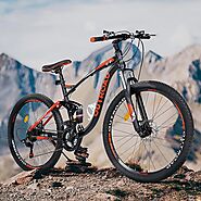 Website at https://mountain-bikes.net/beat-thirteen-mountain-bikes-under-price-300/