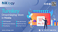 Turnkey Dropshipping Store in Noida