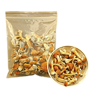 Explore Psychedelics Drugs - Dosenow Pharmacy
